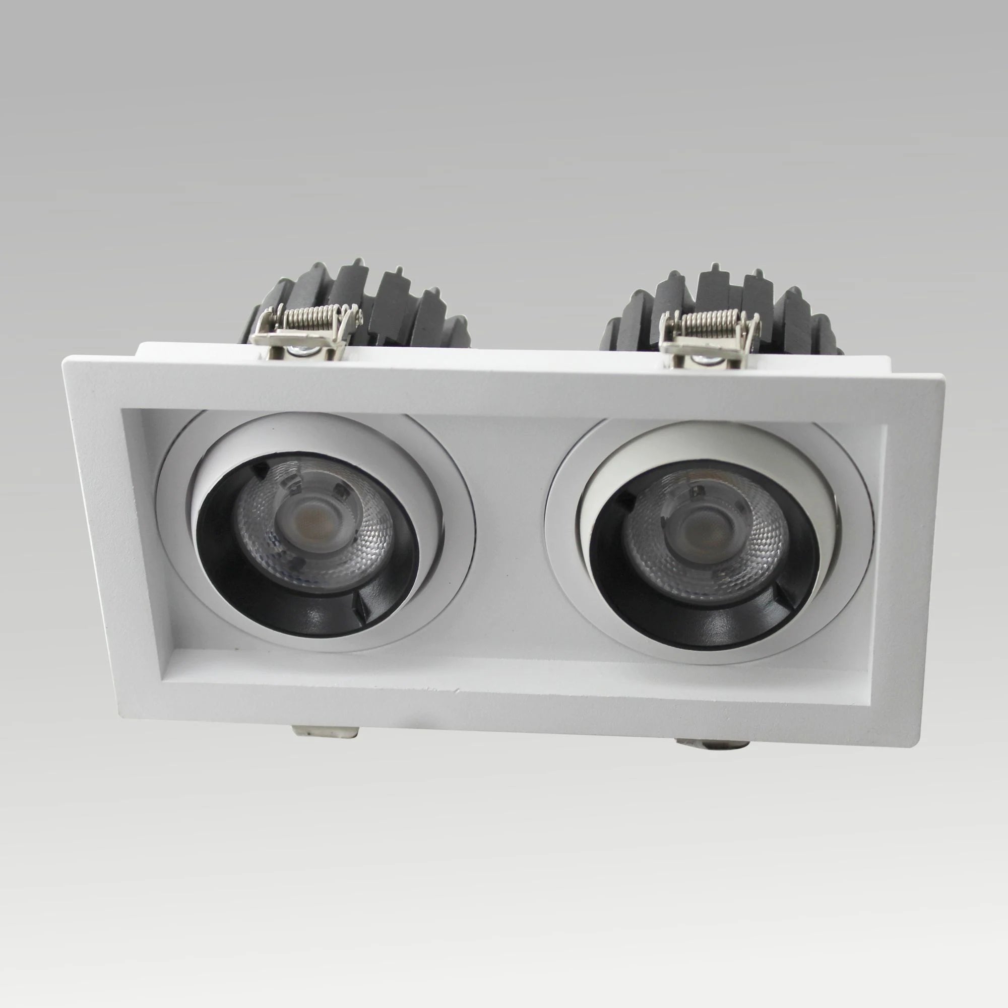 Single & Double Tiltable Recessed Downlight
