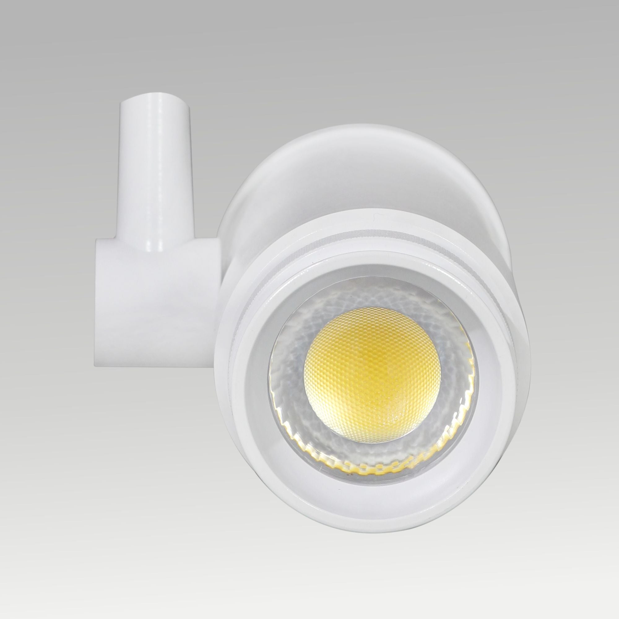 Track Light & Zoom Light