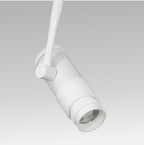 Track Light & Zoom Light