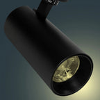 Omega Plus Surface Light