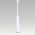 Pavilion Spot Light Hanging (Diffused)