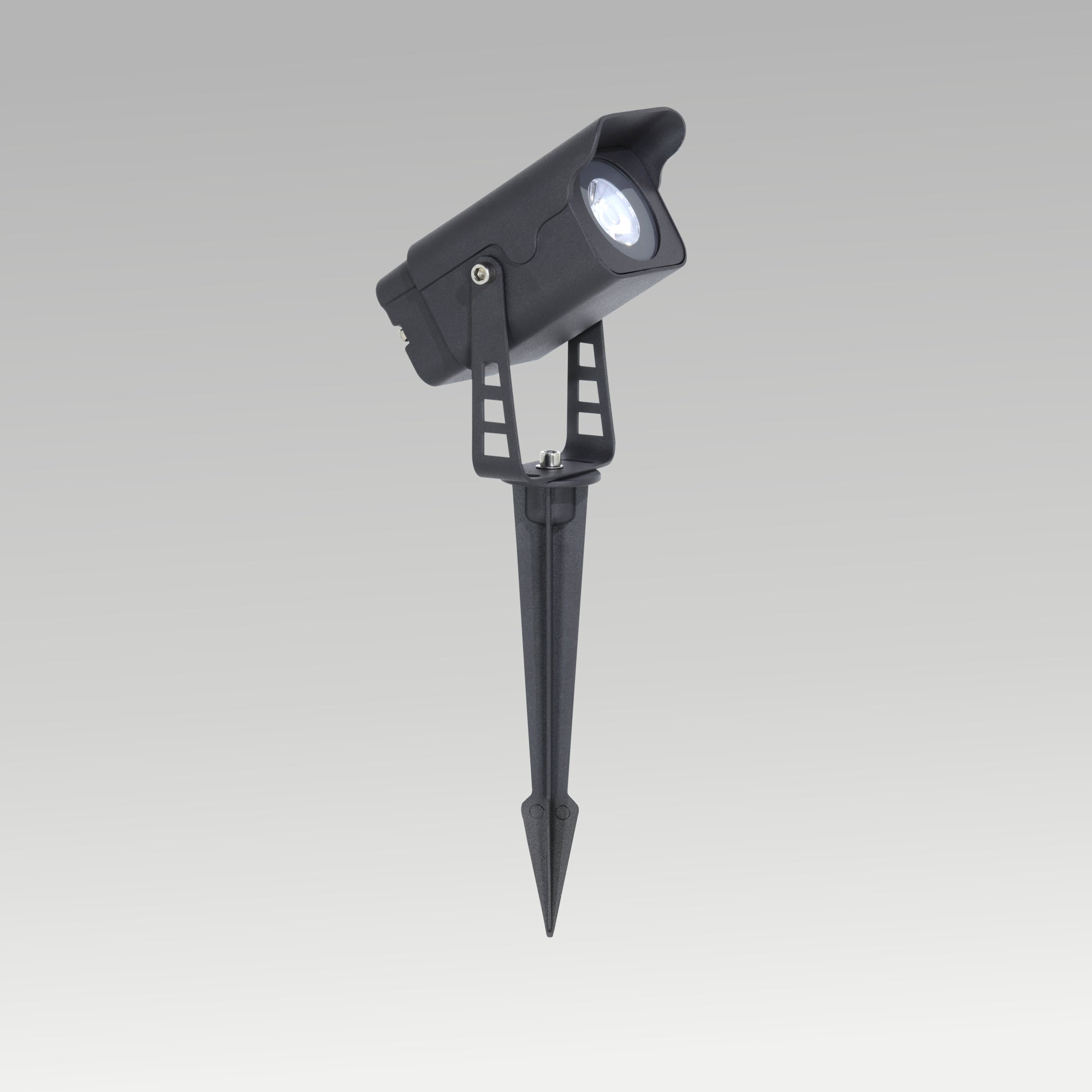 Garden Focused Spike Light