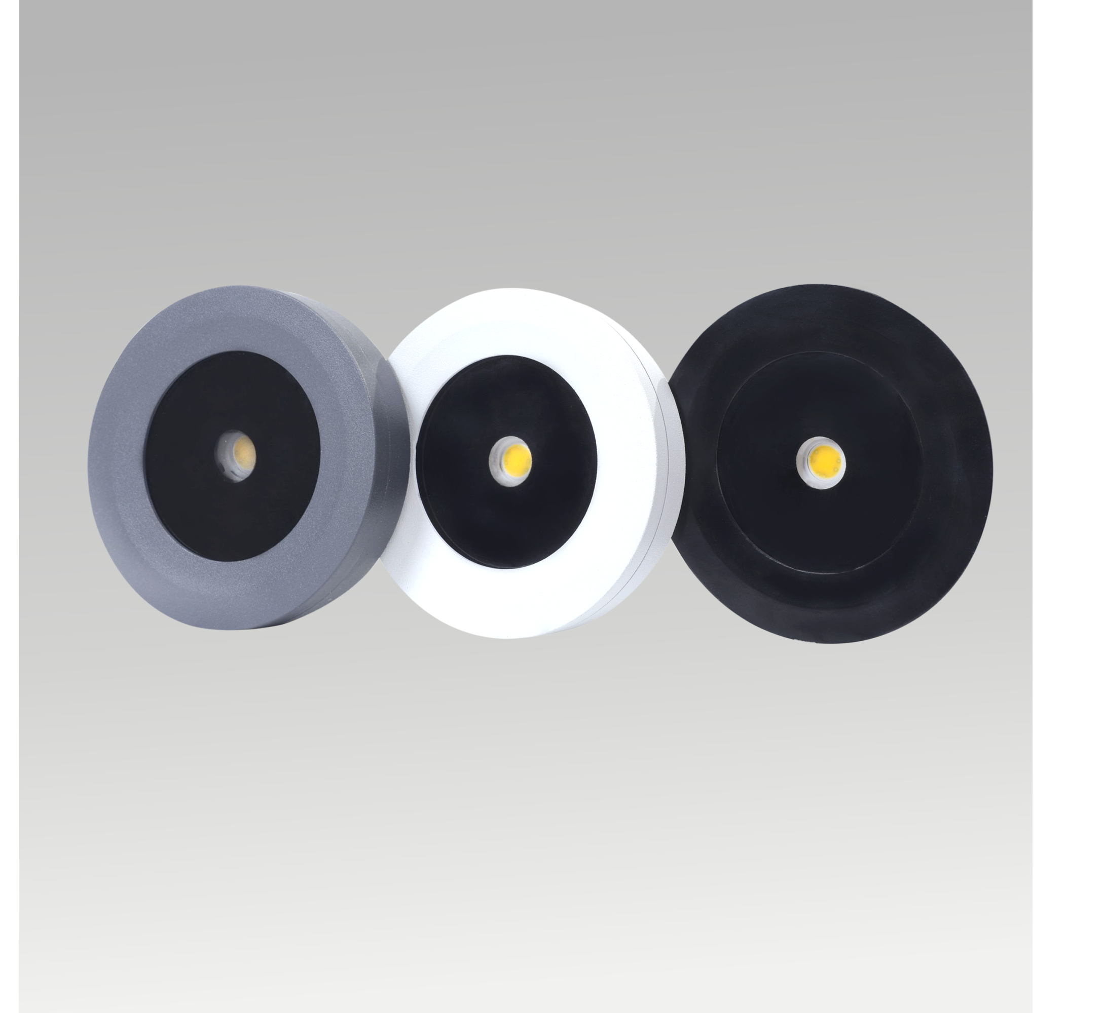 Surface Mounted Ceiling Lights