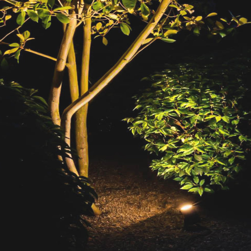 Garden Surface Light