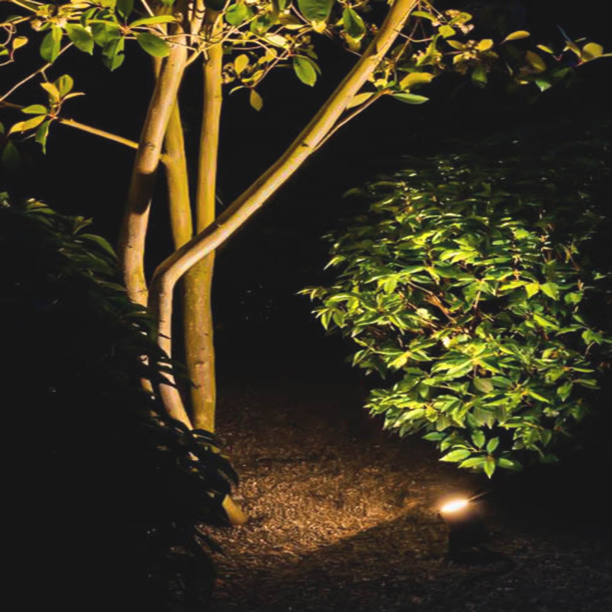 Garden Surface Light