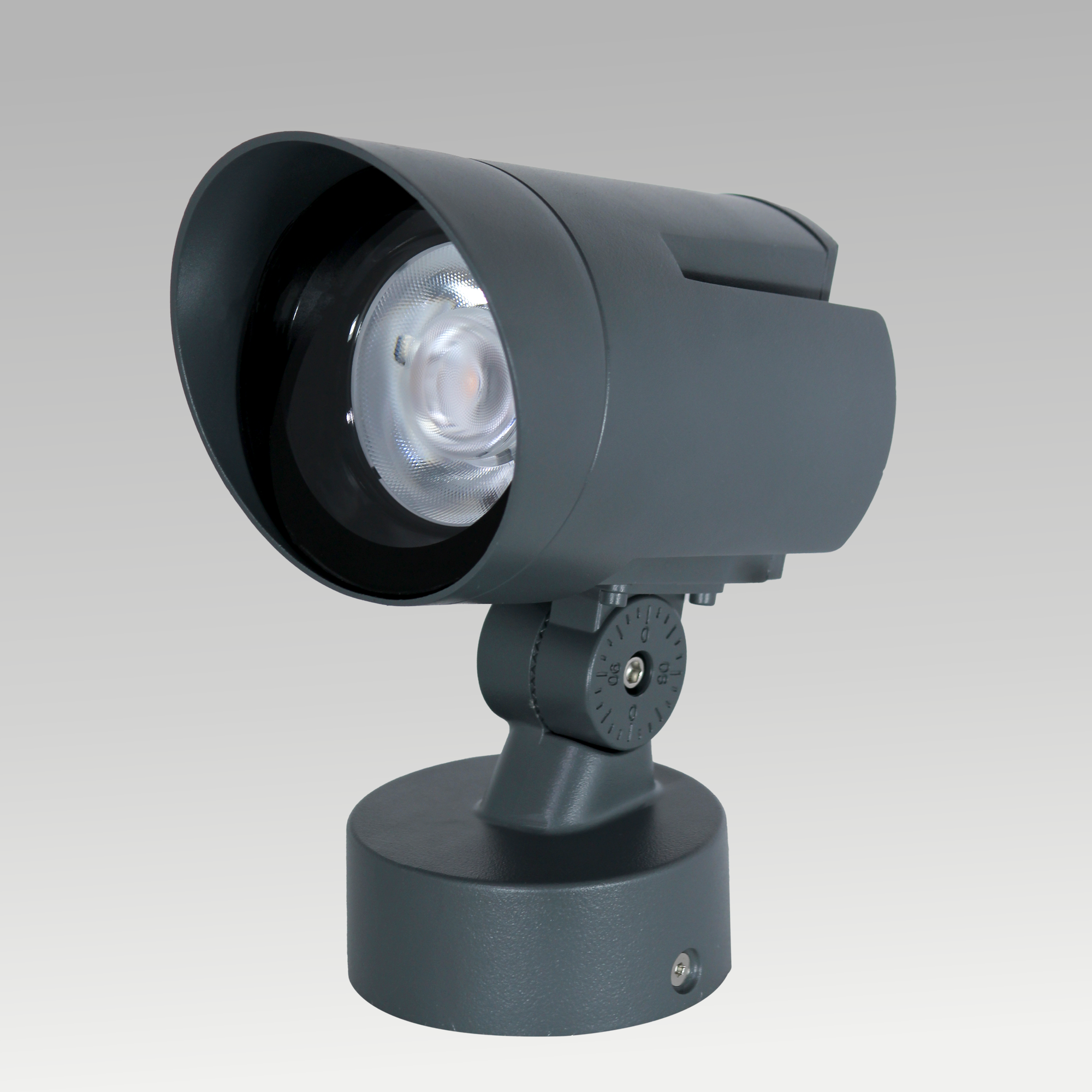 Facade Spot Light