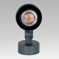 Facade Spot Light