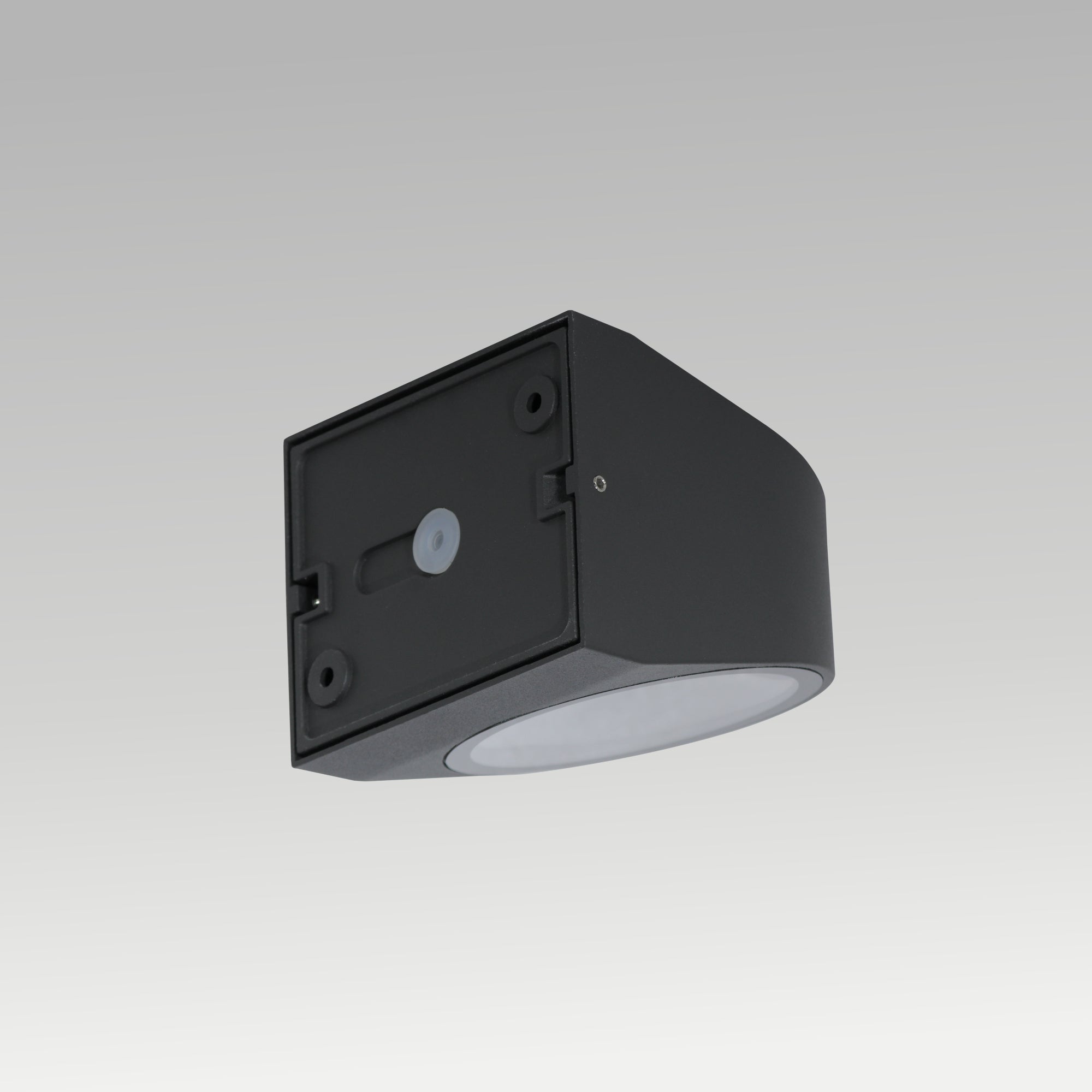 2x7w Double Side Outdoor Wall Light