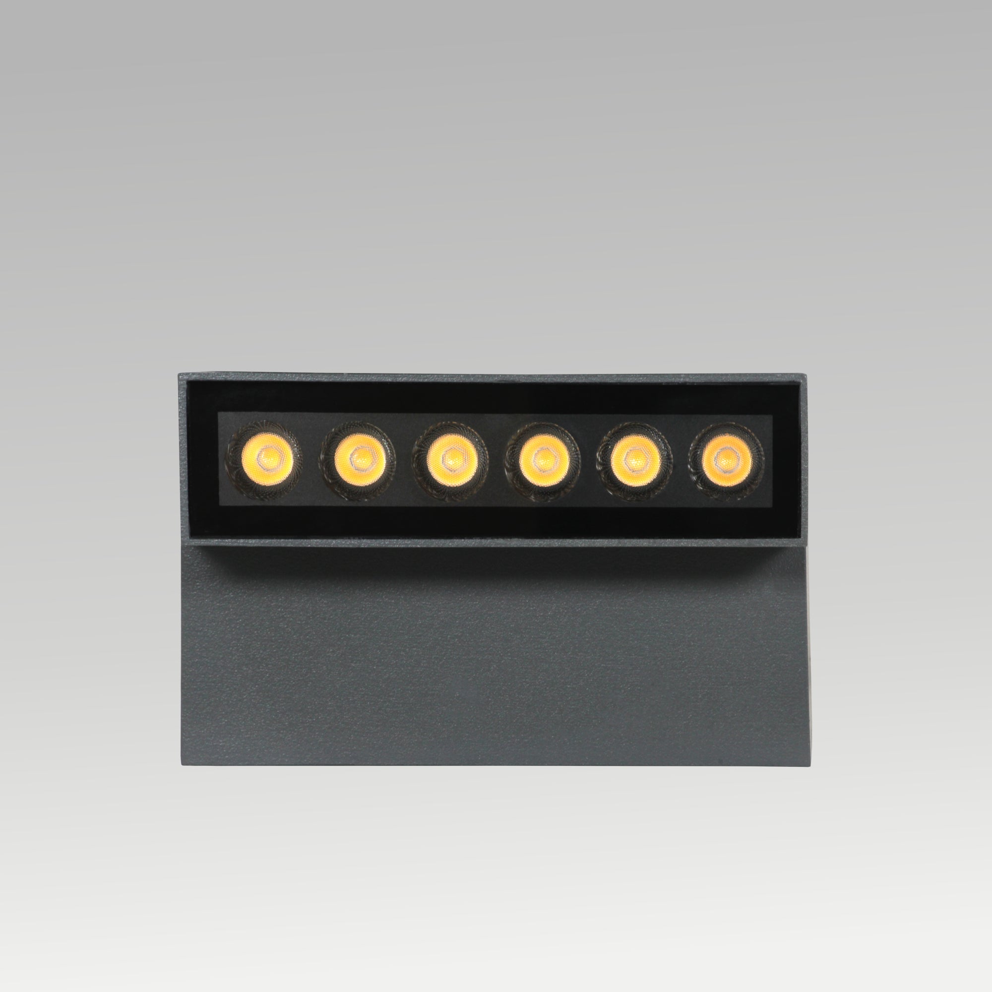 10w Tiltable Outdoor  Wall Light