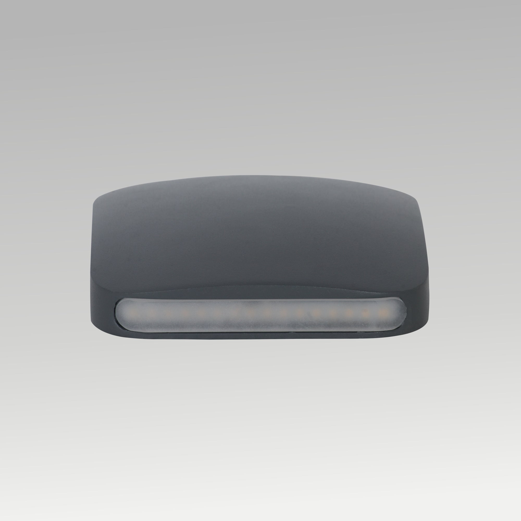 2x4w Double Side Flat Outdoor Wall Light