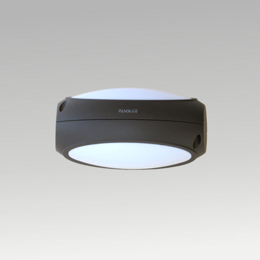 8w 2 Way Outdoor  Wall Light