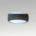 8w 2 Way Outdoor  Wall Light