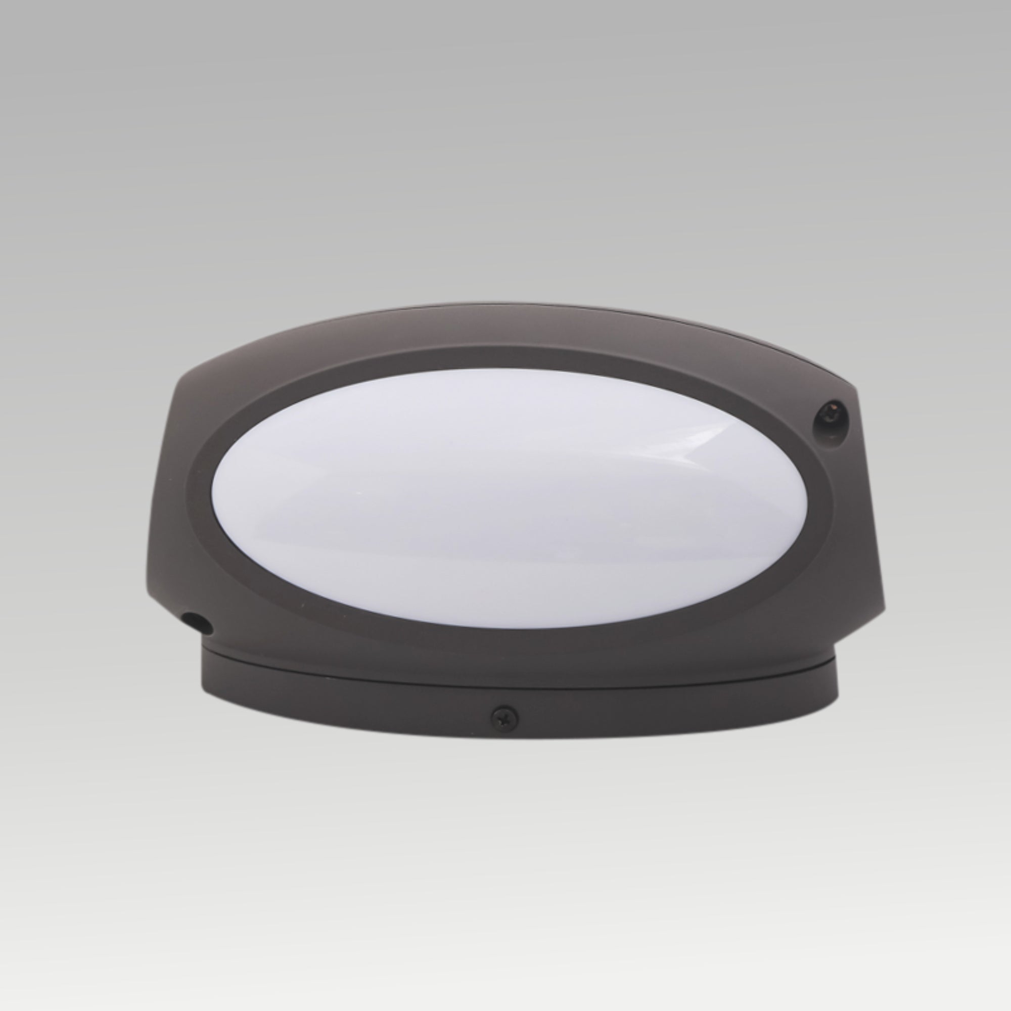 8w 2 Way Outdoor  Wall Light