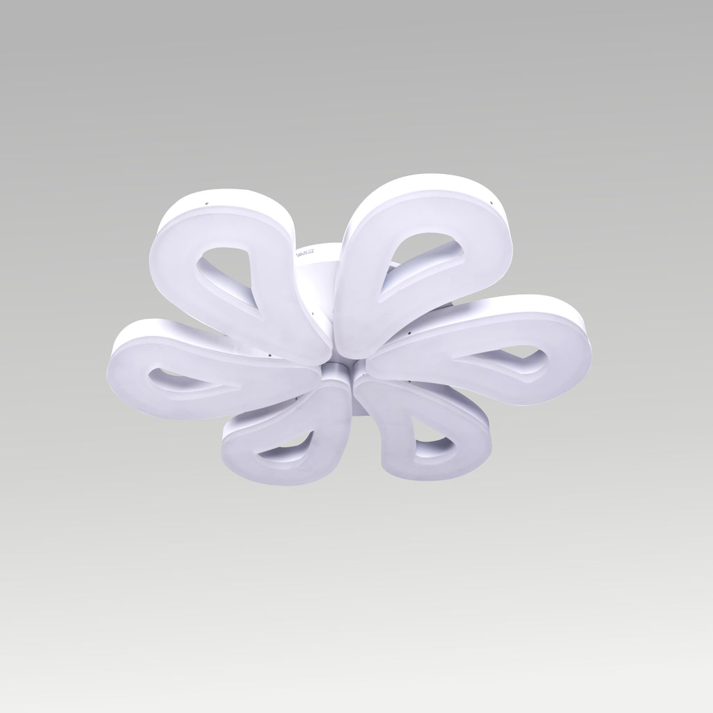 Rose Well Ceiling Light
