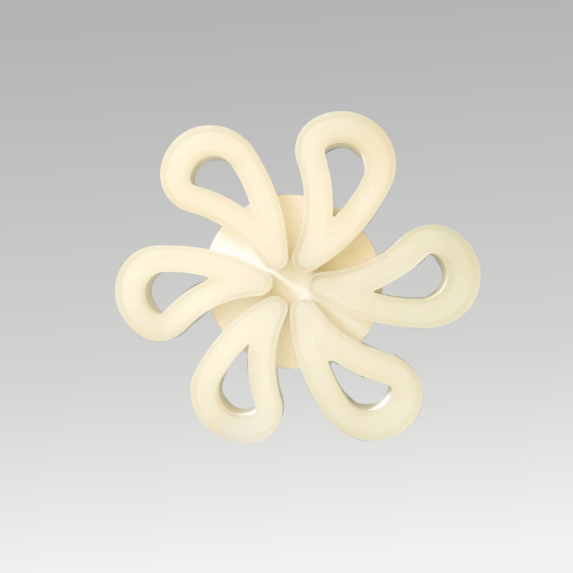 Rose Well Ceiling Light