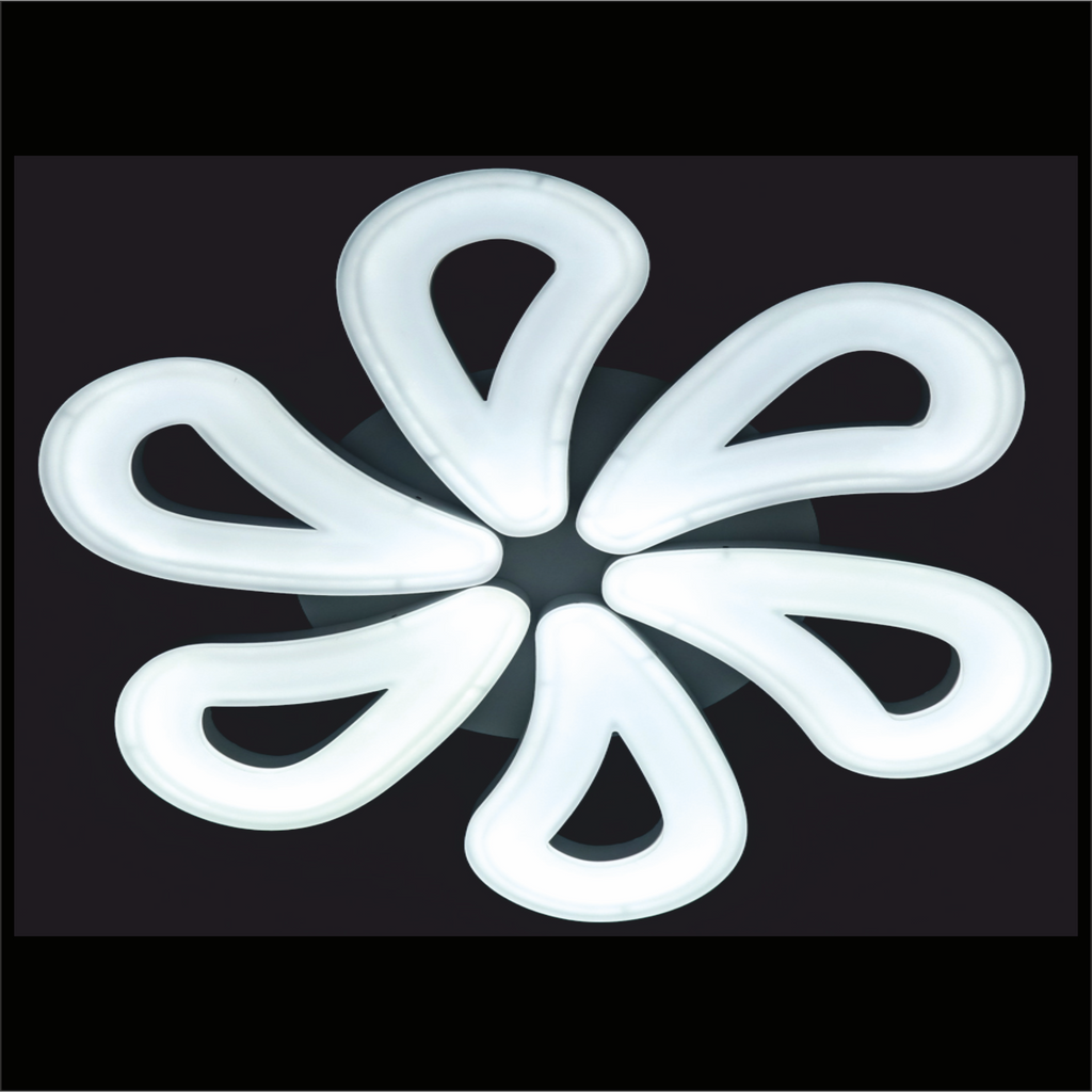 Rose Well Ceiling Light