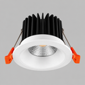 Aqua Downlight