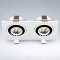 Dual Downlight