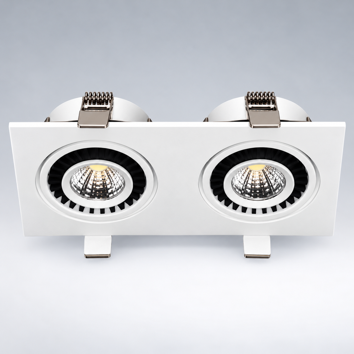 Dual Downlight