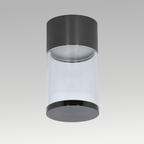 Tar Surface Downlight