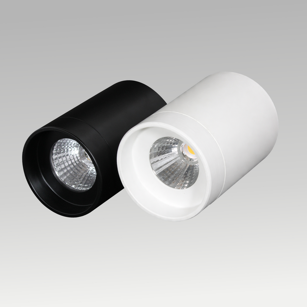 Trump Surface Downlight