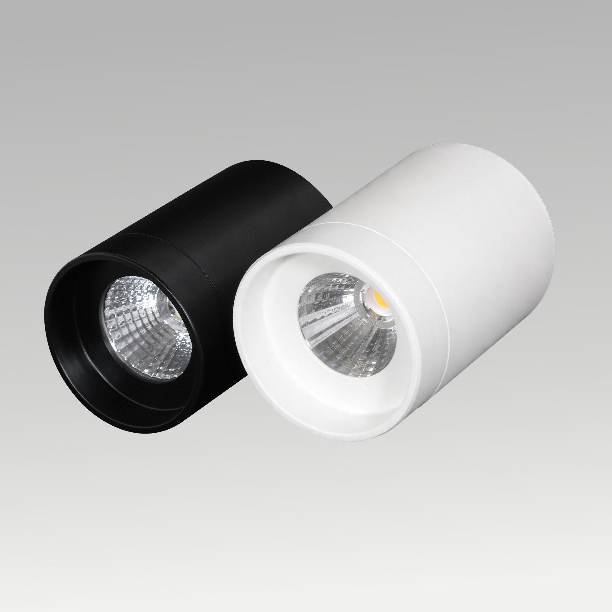 Trump Surface Downlight