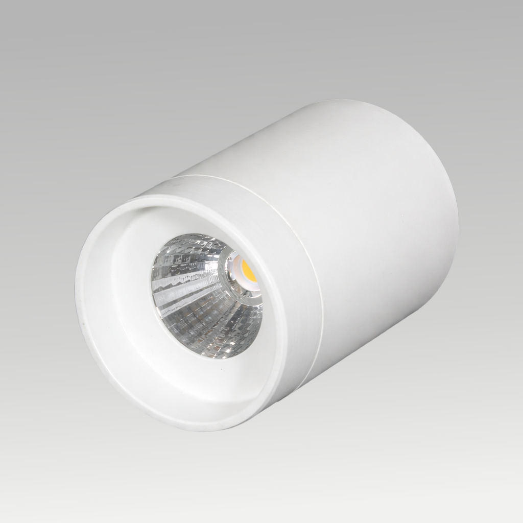 Trump Surface Downlight