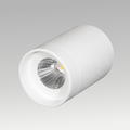 Trump Surface Downlight