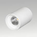 Trump Surface Downlight