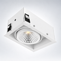 Gimbal Downlight